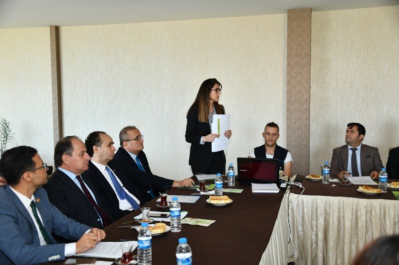  55 bin 555 fidan